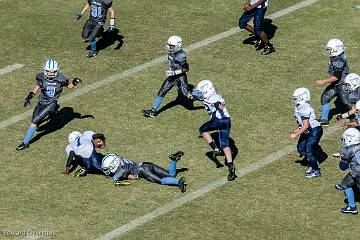 D6-Tackle  (578 of 804)
